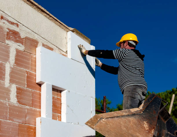 Best Home Insulation Services  in Advae, NC